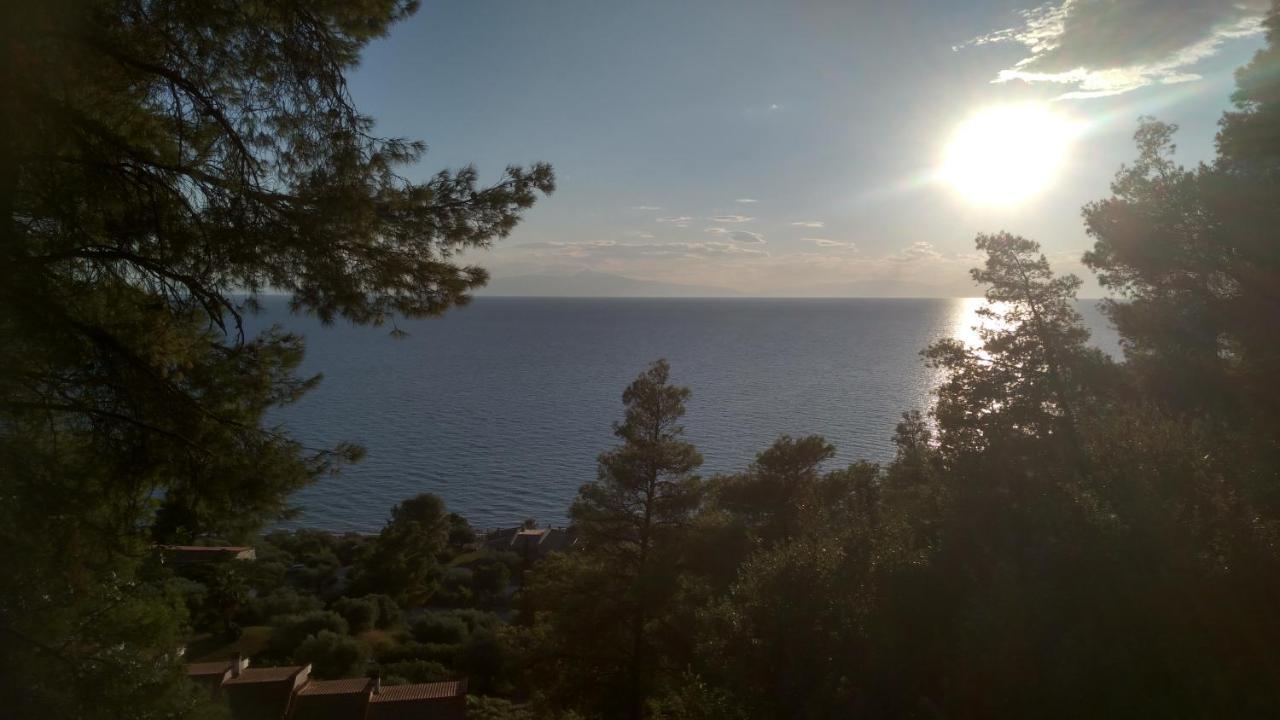 2-Bed Maisonette In Pine Forest, 250M From Beach Between Skala Fourka And Siviri Villa Skala Fourkas Luaran gambar