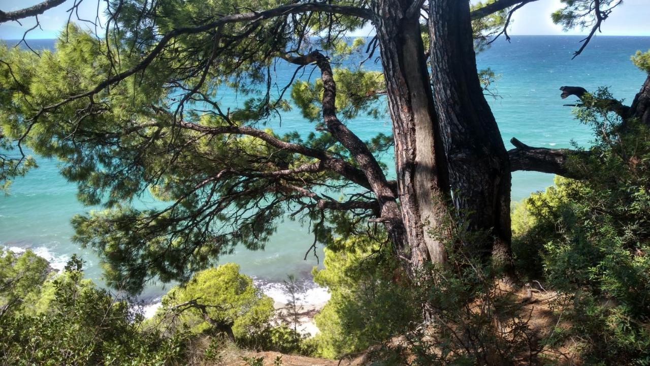 2-Bed Maisonette In Pine Forest, 250M From Beach Between Skala Fourka And Siviri Villa Skala Fourkas Luaran gambar