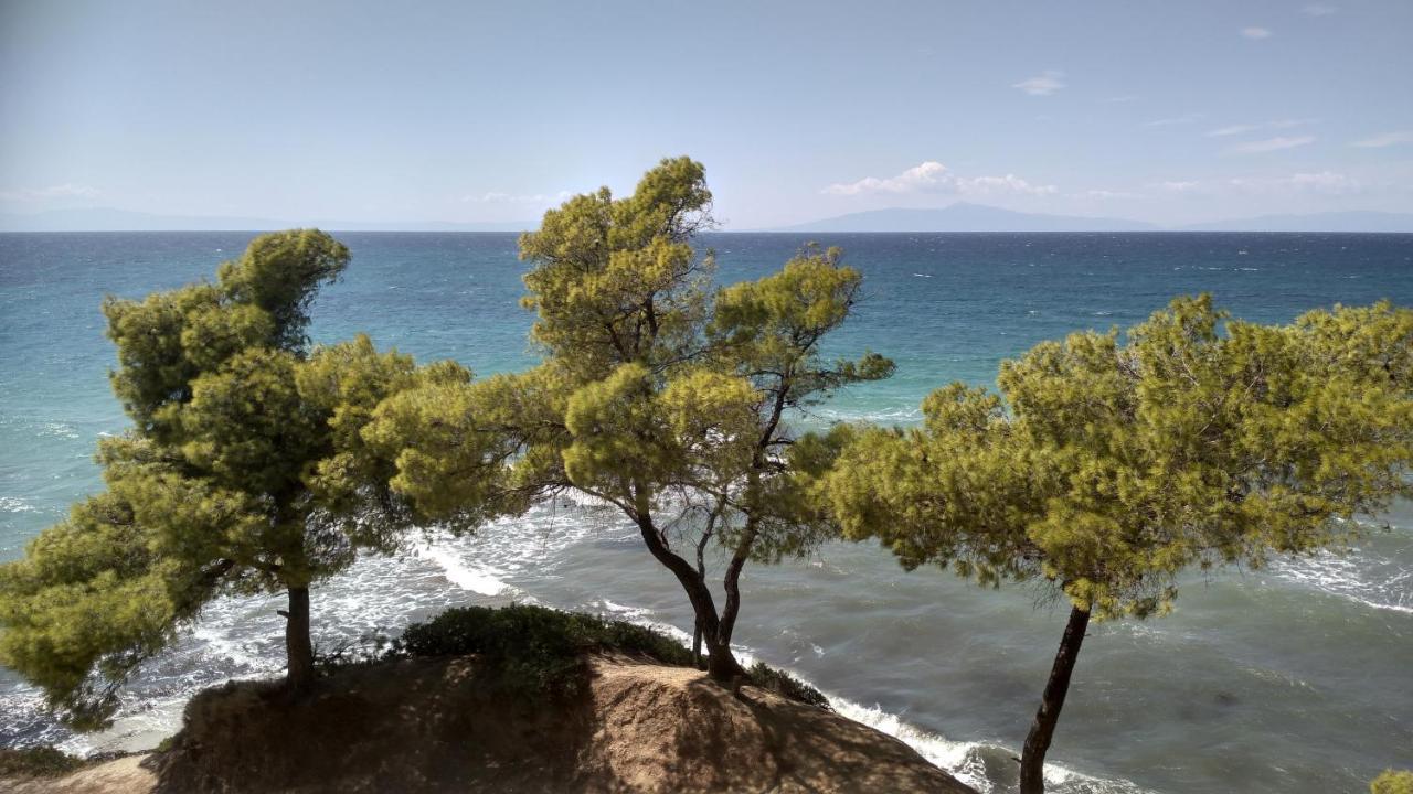 2-Bed Maisonette In Pine Forest, 250M From Beach Between Skala Fourka And Siviri Villa Skala Fourkas Luaran gambar
