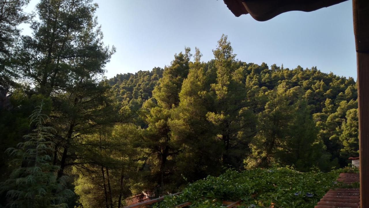 2-Bed Maisonette In Pine Forest, 250M From Beach Between Skala Fourka And Siviri Villa Skala Fourkas Luaran gambar
